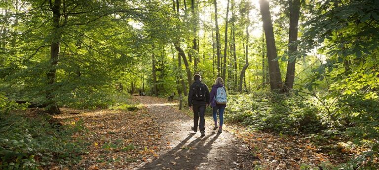 Shorne Woods Members’ Walk